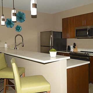 Dawn Beach Club — Sample kitchen
