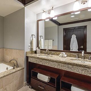 The Ritz-Carlton Club, Lake Tahoe — Sample residence bathroom
