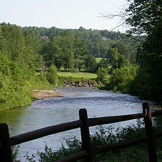 The Village Green at Stowe — Stowe nature paths